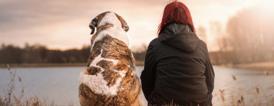 Woman and pet dog