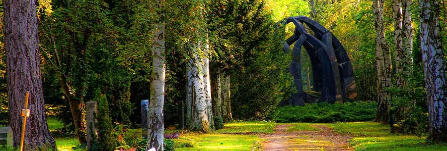 Cemetery in a forest with unique gravestones