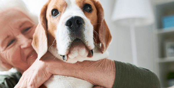 Person holding dog