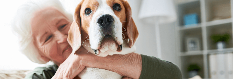 Person holding dog