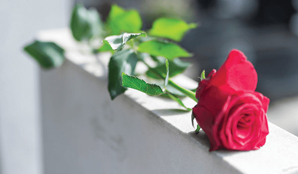 Single rose laying on top of a tombstone
