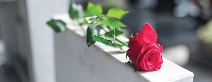 Single rose laying on top of a tombstone